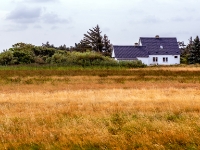 Mandø